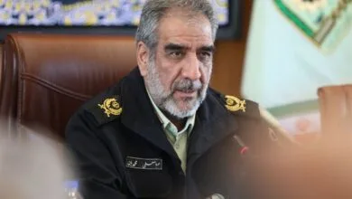4800927.jpg