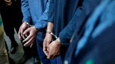 عاملان جنایت هولناک در پارک قیطریه تهران بازداشت شدند + جزئیات ماجرا