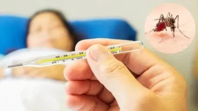تب دنگی چقدر خطرناک است؟ | این افراد نوع شدید دنگی را میگیرند