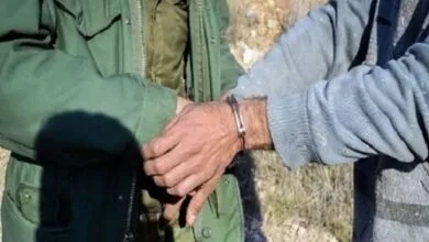 5110285.jpg