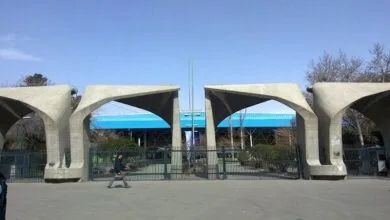 5116389.jpg