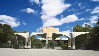 5142375.jpg