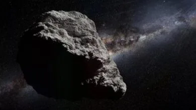 5142413.jpg