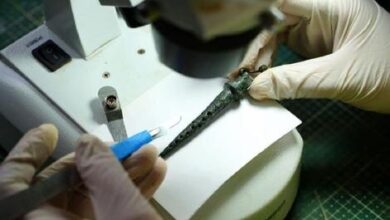 «فیلتر باستانی» در ویرانه‌های شهر هادرینوپولیس | عکس