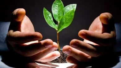 ایجاد دفاتر معاضدت حقوقی در راستای خدمترسانی به نیازمندان ایجاد دفاتر معاضدت حقوقی در راستای خدمترسانی به نیازمندان