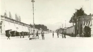 5143057.jpg