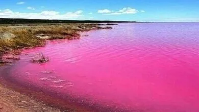 چرا رنگ آب در مکانهای گوناگون متفاوت است؟ چرا رنگ آب در مکانهای گوناگون متفاوت است؟