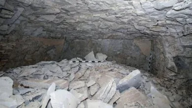 5144493.jpg