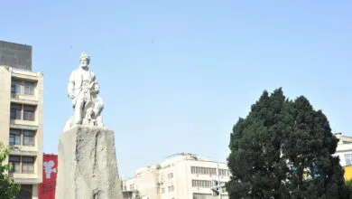 5145510.jpg