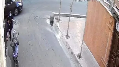 5146762.jpg