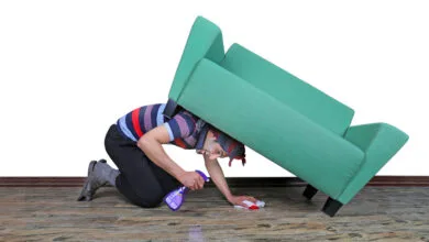5147519.jpg
