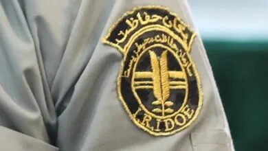 5259312.jpg