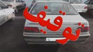 5338937.jpg