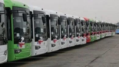 5361165.jpg