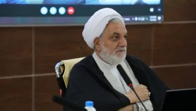 محرز شدن ارتباط دو تبعه بازداشتی انگلیسی درکرمان با سرویس های اطلاعاتی محرز شدن ارتباط دو تبعه بازداشتی انگلیسی درکرمان با سرویس های اطلاعاتی