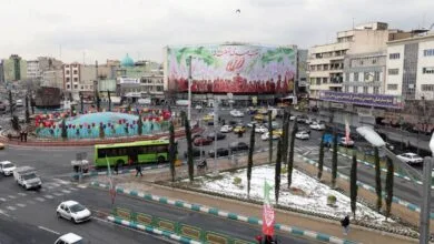 کاشت ۲۲ اصله درخت سرو بلند قامت در اطراف میدان انقلاب اسلامی تهران کاشت ۲۲ اصله درخت سرو بلند قامت در اطراف میدان انقلاب اسلامی تهران