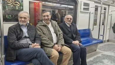 5373618.jpg