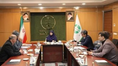 شینا انصاری با جمعی از نمایندگان مجلس دیدار کرد