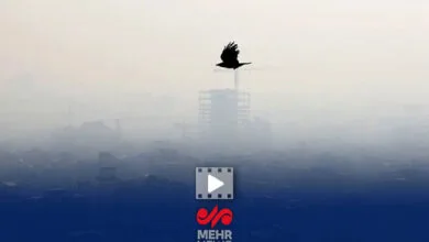 5385230.jpg