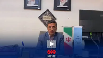 قاضی شهریاری: متهمان قتل دانشجوی دانشگاه تهران سوابق متعددی داشتند