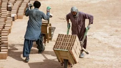 یک ماه فرصت به کارفرمایان برای درخواست صدور پروانه کار اتباع خارجی