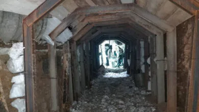 5387197.jpg