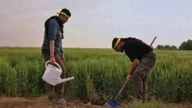 کاشت ۷۵۰۰ نخل به یاد شهدای طلبه و دانشجو