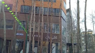 جمع آوری درختان خشک خیابان ولیعصر (عج) از امشب آغاز میشود