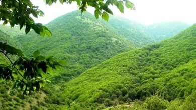 تهران اجتماعی