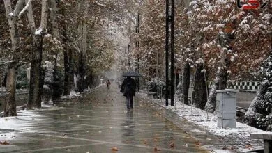 تهران اجتماعی