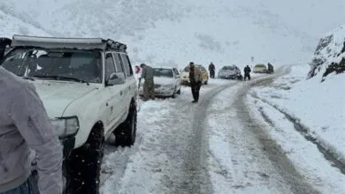 بارش برف و باران در ۱۲ استان کشور/ چالوس و هراز مسدود است