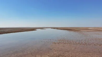 ویدیو/ مرگ تدریجی تالاب گاوخونی؛ قصه‌ای پُرغصه