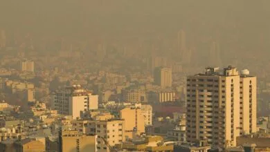 ویدیو/ آیا آلودگی هوا از ابتلا به سرطان پوست جلوگیری می‌کند؟