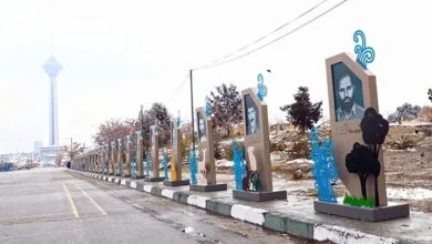 63350900.jpg