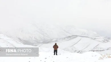 تهران اجتماعی