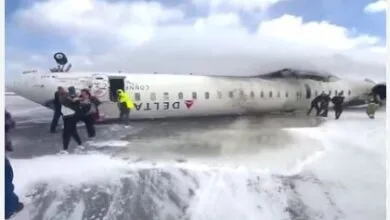 63362985.jpg