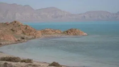 تهران اجتماعی