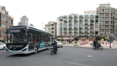 63369461.jpg