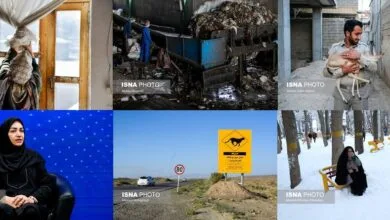 تهران اجتماعی