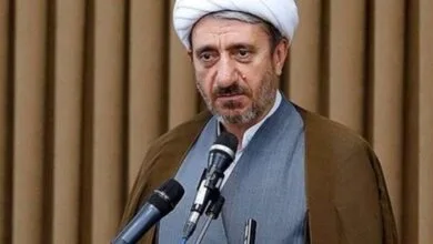 وزارت اطلاعات یک نهاد انقلابی برخاسته از متن مردم است