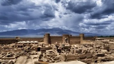 تهران اجتماعی
