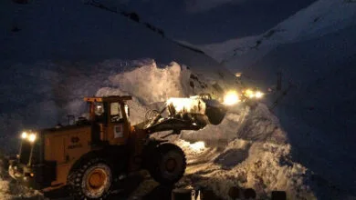 تهران اجتماعی