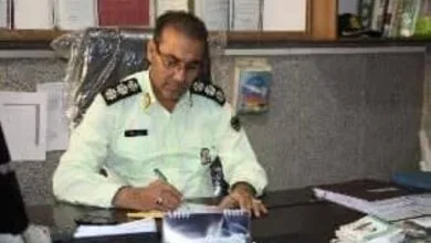 4780611.jpg
