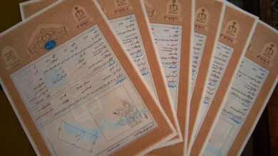 4918079.jpg
