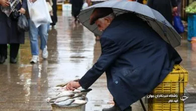 رگبار باران و رعد و برق برای این مناطق کشور | وضعیت هوای تهران طی ۲ روز آینده