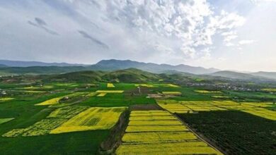 صدور ۳.۵ میلیون سند حدنگاری از شروع اجرای قانون الزام