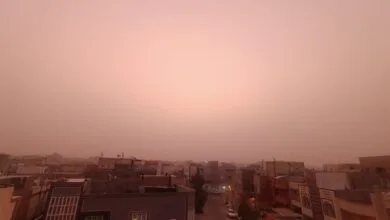 5106174.jpg