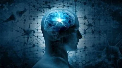 هوش فقط IQ نیست | ۱۰ نوع هوش انسانی وجود دارد + اینفوگرافیک