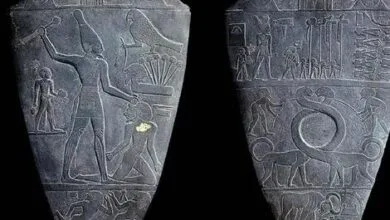 اولین فرعون مصر باستان؛ مردی به نام «ماهی» | عکس اولین فرعون مصر باستان؛ مردی به نام «ماهی» | عکس