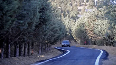 ساعتی دور از آلودگی هوای تهران نفس بکشید
